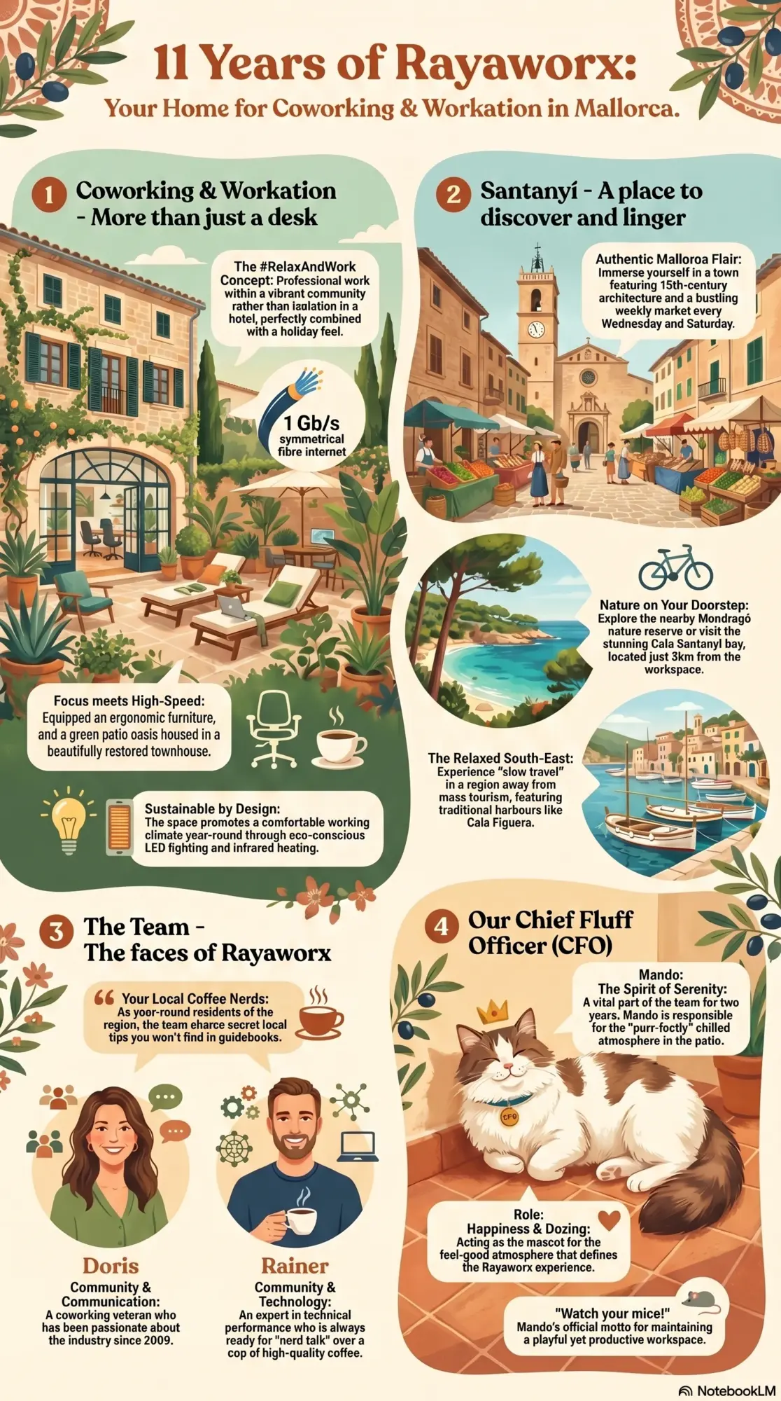 Infographic 11 Years Rayaworx Mallorca Gemini