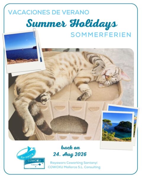 rayaworx cowoxu summer holidays illustration with cat